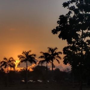 Meet your Posher, Sid